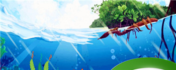 为什么红海的海水是红色的 红海水为什么是红色的