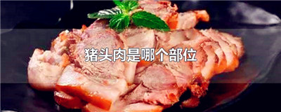 猪头肉是哪个部位