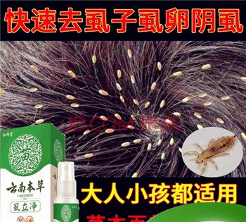 厨房地虱最简单的去除方法