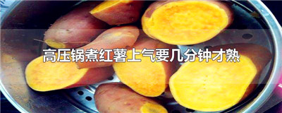 高压锅煮红薯上气要几分钟才熟