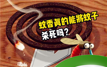 蚊香能把蚊子熏死吗?