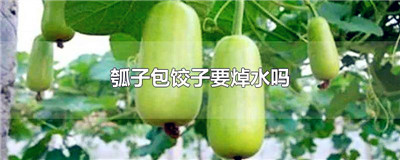 瓠子包饺子要焯水吗