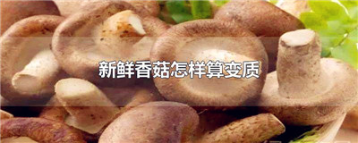 新鲜香菇怎样算变质