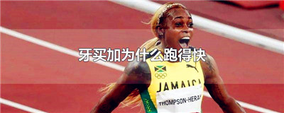 牙买加为什么跑得快