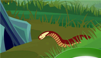 蛇喜欢生活在哪里 蛇冬眠多久