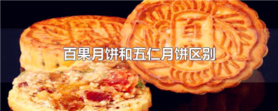 百果月饼和五仁月饼区别
