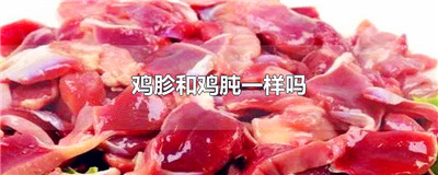 鸡胗和鸡肫一样吗