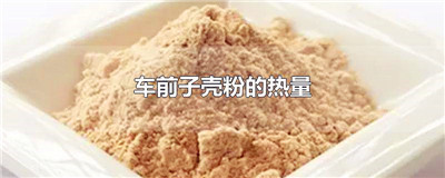 车前子壳粉的热量