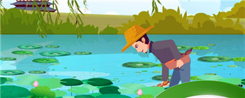 莲藕的保存方法 怎么挑选莲藕