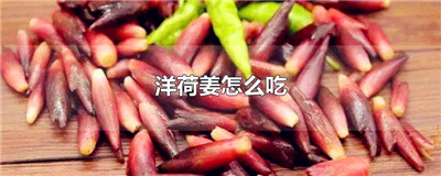 洋荷姜怎么吃