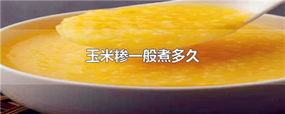 玉米糁一般煮多久
