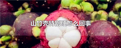 山竹壳特别硬怎么回事