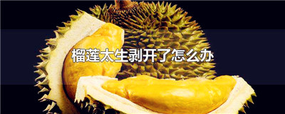 榴莲太生剥开了怎么办