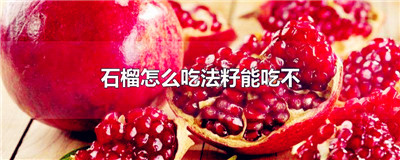 石榴怎么吃法籽能吃不