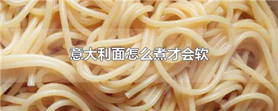 意大利面怎么煮才会软