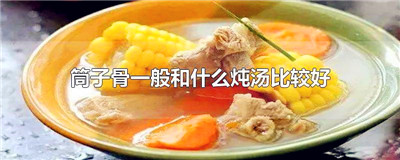 筒子骨一般和什么炖汤比较好