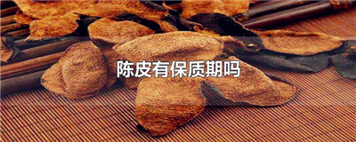 陈皮有保质期吗