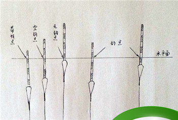 蚯蚓钓鱼调漂图解，蚯蚓钓鱼怎么调漂?钓几目才到底？图2