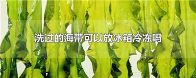 洗过的海带可以放冰箱冷冻吗
