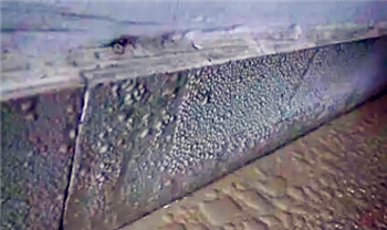 广西有回南天吗20242