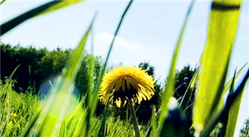 2024年北京5月份的温度大概是多少3