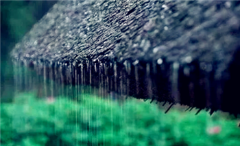 2024年是最热的一年吗1