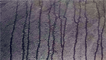 2024年广东3月份还会回南天吗1