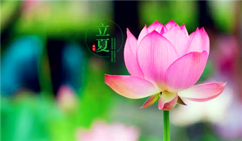 2024年立夏后就热了吗3