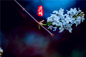 2024清明节哪天上坟最好1