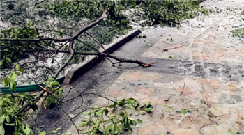 冻雨路面会结冰吗1