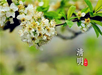 2024清明节哪天上坟最好3