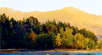 2024年五月份去新疆冷不冷1