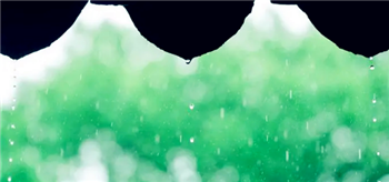 2024年武汉什么时候进入梅雨季3