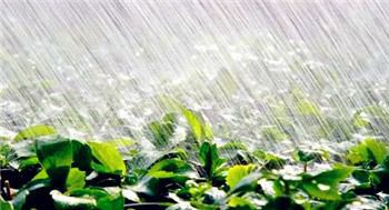 2024年春分有雨好不好2