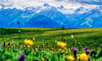 2024年5月份去新疆的南疆好还是北疆好3