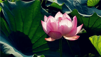 2024年是夏天更热还是全年都热1