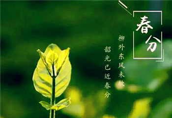 2024年春分过后还会冷吗2