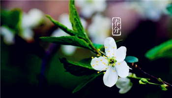 2024年春分有雨好不好3