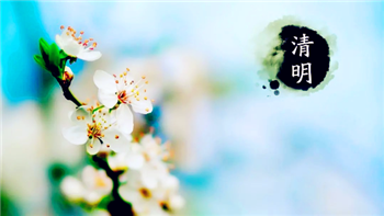 2024年清明节高速公路免费吗1