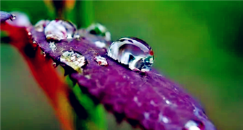 2024年上海梅雨季节是几月份3