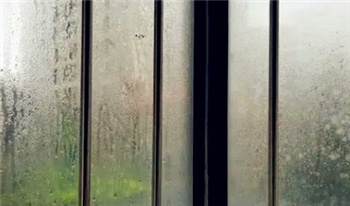 2024年武汉的回南天是什么时候1