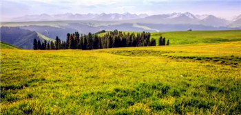 2024年是夏天更热还是全年都热2