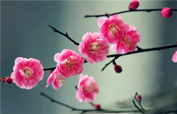 2024年躲春几点到几点结束2