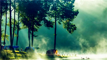 2024广东今年热的早不早1