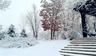 河南2月份会下雪吗2