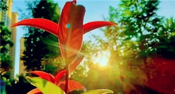 北京5月份是春天还是夏天3