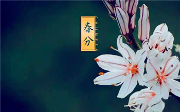 2024年春分过后还会冷吗1