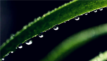 2024年是最热的一年吗2