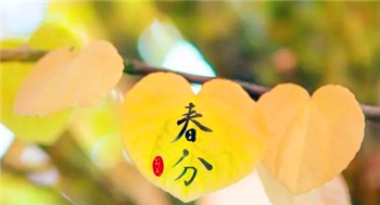 2024年春分是几月几号几点几分1