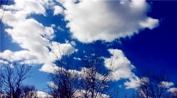 2024年北京清明节会下雨吗3